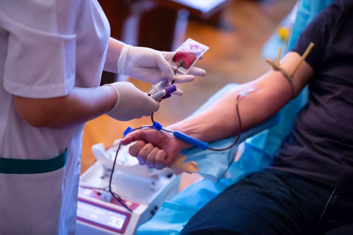 A Jornada do Sangue: Como é a coleta e armazenamento do sangue doado