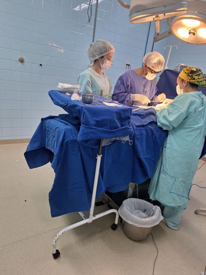 Técnico pode trabalhar em hospital ou clínica?