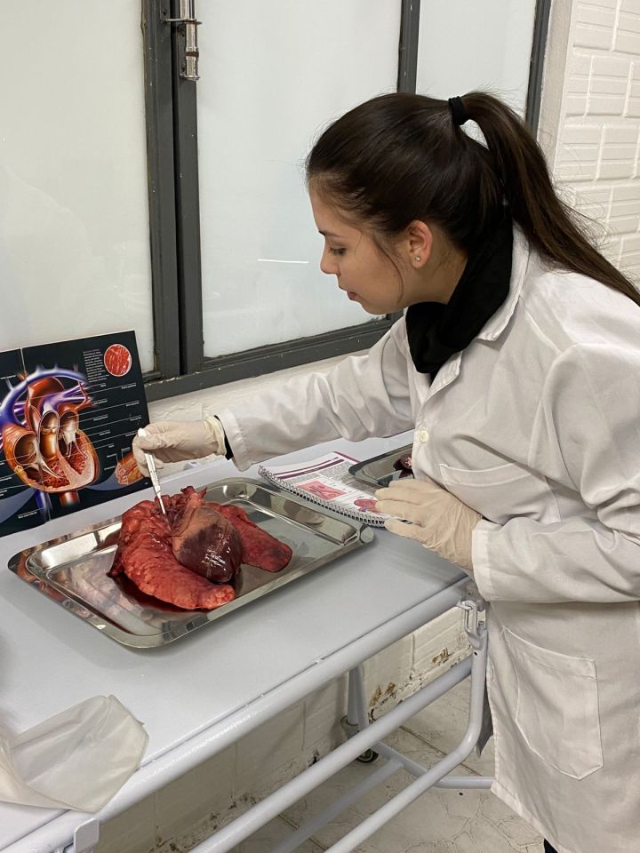 Posso estudar e trabalhar ao mesmo tempo?